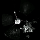 Illustration for article titled Comet landing live coverage: New images from the comet
